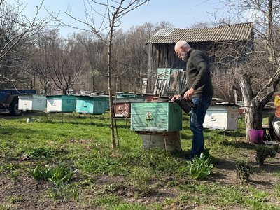 До 30% втрат: як бджоли перезимували на Черкащині До 30% втрат: як бджоли перезимували на Черкащині