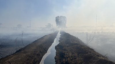 З початку 2024 року на Харківщині горіли майже 6500 пожеж, найбільше — у вересні: статистика З початку 2024 року на Харківщині горіли майже 6500 пожеж, найбільше — у вересні: статистика