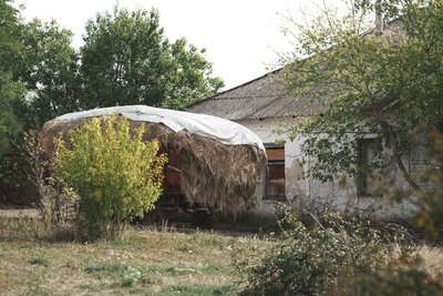 Будинок в селі Бригадирівці на Харківщині Будинок в селі Бригадирівці на Харківщині