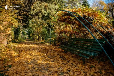 ботанічний сад Одеси