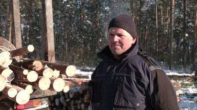 Як заготовляють дрова на Рівненщині Як заготовляють дрова на Рівненщині