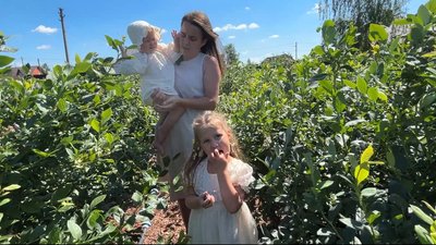 Понад 1800 кущів лохини вирощує біля дому подружжя з Володимирця на Рівненщині