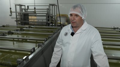 Можуть зникнути з полиць: чому частина виробників твердого сиру Черкащини скоротили виробництво Можуть зникнути з полиць: чому частина виробників твердого сиру Черкащини скоротили виробництво
