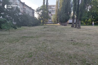 У Київзеленбуді розповіли, де у столиці найбільше декоративних луків з різнтрав'ям У Київзеленбуді розповіли, де у столиці найбільше декоративних луків з різнтрав'ям