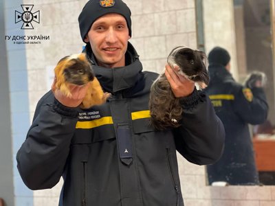 Пушка та Мішка в Пункті незламності, 25 листопада 2022 Пушка та Мішка в Пункті незламності, 25 листопада 2022