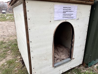 "Не мали доказів, що це отруєння": у Стрию поліція перевіряє спробу отруєння собак "Не мали доказів, що це отруєння": у Стрию поліція перевіряє спробу отруєння собак