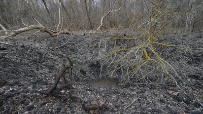 "Забронювали одного": як зміняться правила бронювання для аграріїв "Забронювали одного": як зміняться правила бронювання для аграріїв