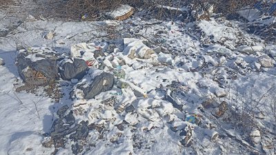 Стихійне сміттєзвалище в Житомирі: реакція екологів та міської ради Стихійне сміттєзвалище в Житомирі: реакція екологів та міської ради