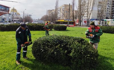 В Одесі висадять 200 тисяч весняних квітів