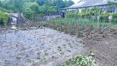 Негода у Підгайчиках, злива Негода у Підгайчиках, злива