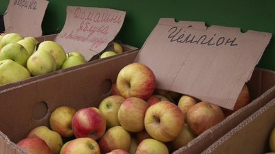Скільки коштують сезонні овочі та фрукти на ринку у Рівному Скільки коштують сезонні овочі та фрукти на ринку у Рівному