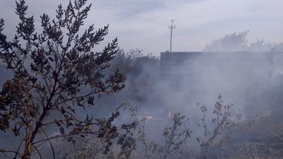"Дим чорний стояв". На Кіровоградщині горіло понад два гектари землі "Дим чорний стояв". На Кіровоградщині горіло понад два гектари землі