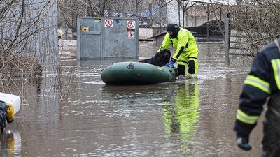 З окопів – у родину: пес з Авдіївки знайшов дім у Кропивницькому З окопів – у родину: пес з Авдіївки знайшов дім у Кропивницькому