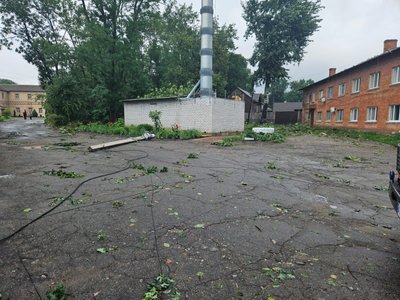 Повалені дерева, пошкоджені дахи – на Київщині ліквідовують наслідки буревію