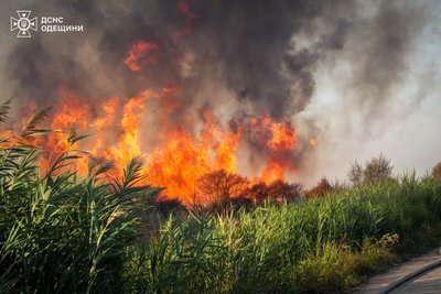Займання очерету в Одесі: вогонь охопив дев'ять гектарів площі Займання очерету в Одесі: вогонь охопив дев'ять гектарів площі