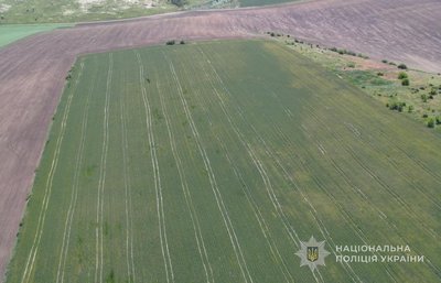 Засіяв 119 гектарів без документів: на Одещині судитимуть директора фермерського господарства Засіяв 119 гектарів без документів: на Одещині судитимуть директора фермерського господарства