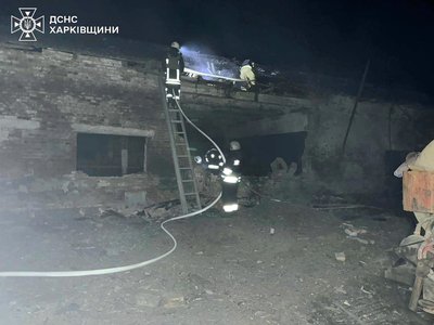Вночі 3 листопада російські безпілотники поцілили по фермерському господарству, загинуло двоє телят