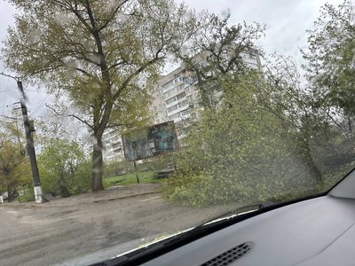 Буревій у Кропивницькому: дерева падають на дороги та будинки Буревій у Кропивницькому: дерева падають на дороги та будинки