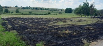 Пожежі сухої трави на Житомирщині: вогонь загрожував житловим будинкам Пожежі сухої трави на Житомирщині: вогонь загрожував житловим будинкам