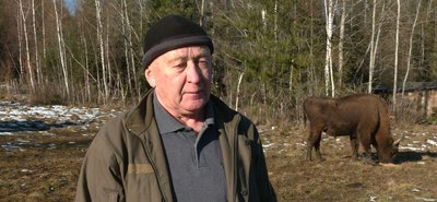 Як у Банилівському лісництві на Буковині підгодовують тварин взимку Як у Банилівському лісництві на Буковині підгодовують тварин взимку