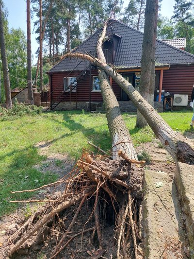 Негода на Житомирщині: пошкодження в електромережах області, повалені дерева, стовпи Негода на Житомирщині: пошкодження в електромережах області, повалені дерева, стовпи