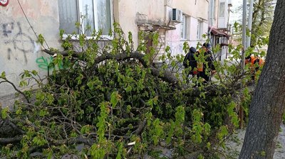 наслідки негоди в Тернополі наслідки негоди в Тернополі