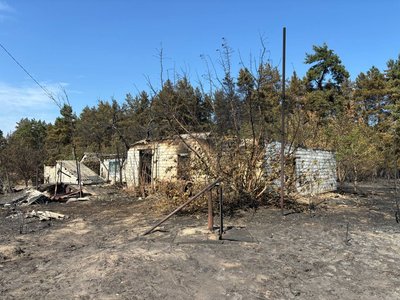 "Воду лили, а воно горить": як гасили лісову пожежу у Вергунах на Черкащині "Воду лили, а воно горить": як гасили лісову пожежу у Вергунах на Черкащині
