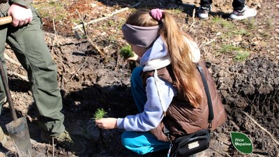 В пам'ять про загиблого лісівника Олександра Кротенка на Чернігівщини висадили понад 13 тисяч дерев В пам'ять про загиблого лісівника Олександра Кротенка на Чернігівщини висадили понад 13 тисяч дерев