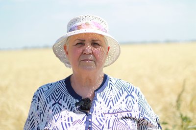 Відновлене після обстрілів господарство Відновлене після обстрілів господарство