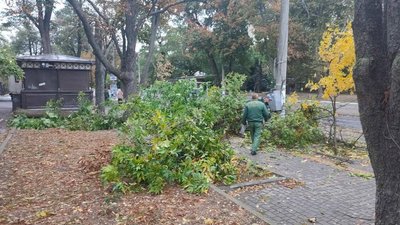 В Одесі через негоду повалені близько 20 дерев та великих гілок В Одесі через негоду повалені близько 20 дерев та великих гілок