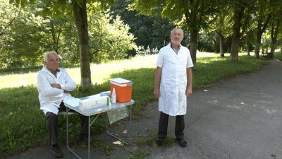 У Луцьку почали безплатно щеплювати котів та собак У Луцьку почали безплатно щеплювати котів та собак