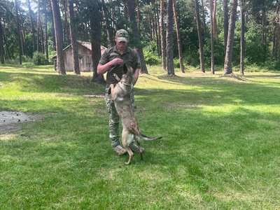 Отримав поранення у Бахмуті: історія прикордонника Іллі "Махача" Отримав поранення у Бахмуті: історія прикордонника Іллі "Махача"