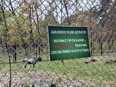Зоокуток у Гідропарку Житомира: чим годують тварин та як готуються до зими Зоокуток у Гідропарку Житомира: чим годують тварин та як готуються до зими