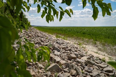 "Природа розвивається так, як було мільйони років тому". Що на місці Каховського водосховища за рік після підриву ГЕС "Природа розвивається так, як було мільйони років тому". Що на місці Каховського водосховища за рік після підриву ГЕС