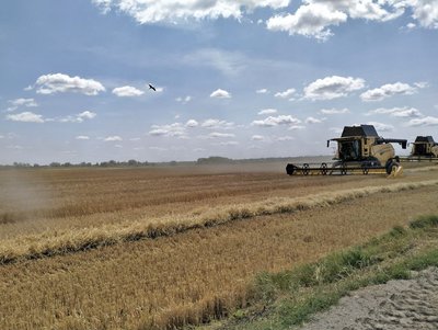 На Волині тривають жнива зернових культур. Скільки врожаю номолотили