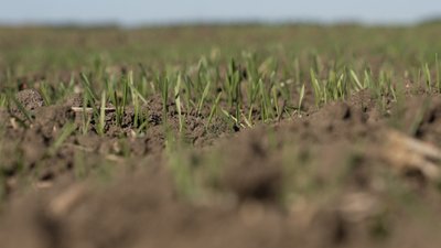 "Головне, щоб була погода": на Вінниччині триває посівна "Головне, щоб була погода": на Вінниччині триває посівна