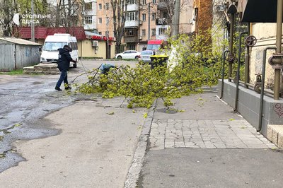 Деревопад на вулицях міста: наслідки негоди в Одесі Деревопад на вулицях міста: наслідки негоди в Одесі