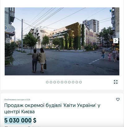 квіти України