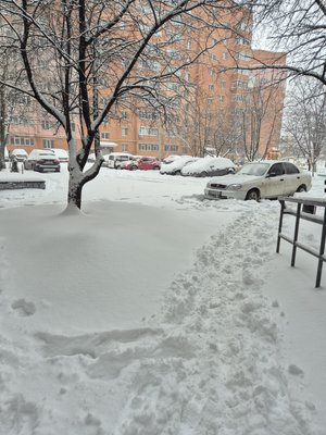 У частині Сумщини синоптики зафіксували стихійне метеорологічне явище — сильний сніг У частині Сумщини синоптики зафіксували стихійне метеорологічне явище — сильний сніг