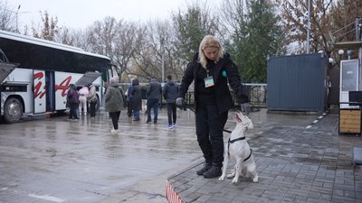 Нюх проти контрабанди: як службові собаки з Вінниччини знаходять зброю і наркотики Нюх проти контрабанди: як службові собаки з Вінниччини знаходять зброю і наркотики