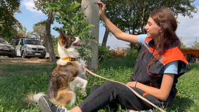 "У мене є мотивація": 17-річна асистентка кінолога бере участь в пошукових місіях