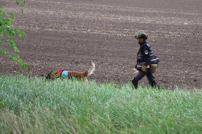 Повертають героїв додому. Як працюють пошукові групи ЗСУ на Херсонщині Повертають героїв додому. Як працюють пошукові групи ЗСУ на Херсонщині
