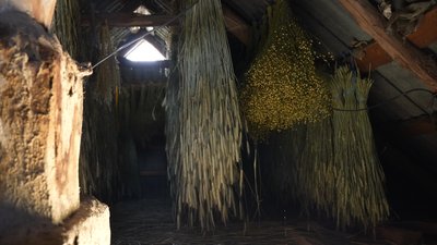 Обереги у хаті-музеї: на Вінниччині жінка виготовляє дідухи Обереги у хаті-музеї: на Вінниччині жінка виготовляє дідухи