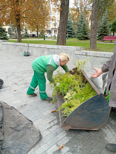 У Харкові почали готувати клуби до зими: однорічні рослини ховають у теплиці У Харкові почали готувати клуби до зими: однорічні рослини ховають у теплиці