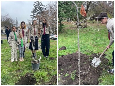 Висадили дерева в парку Сопільче, тернопільський осередок СУМ, вшанування пам'яті загиблих сумівців Висадили дерева в парку Сопільче, тернопільський осередок СУМ, вшанування пам'яті загиблих сумівців