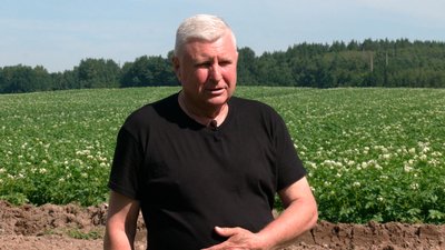 Гендиректор агрокомпанії "Десна" Микола Пономаренко з Боромик, що на Чернігівщині, розповідає про те, як дощі вплинули на врожай картоплі Гендиректор агрокомпанії "Десна" Микола Пономаренко з Боромик, що на Чернігівщині, розповідає про те, як дощі вплинули на врожай картоплі