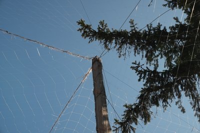 У Сумах планують частково накрити дороги антидроновими сітками