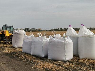 "Ризикувати треба": аграрії Полтавщини засіяли озимими половину запланованих площ "Ризикувати треба": аграрії Полтавщини засіяли озимими половину запланованих площ