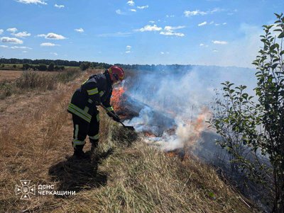 Горіли суха рослинність та трава: на Черкащині за добу сталося 29 пожеж Горіли суха рослинність та трава: на Черкащині за добу сталося 29 пожеж