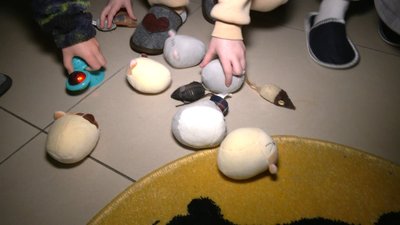 Хмельницьке котокафе прихистило бездомних тварин